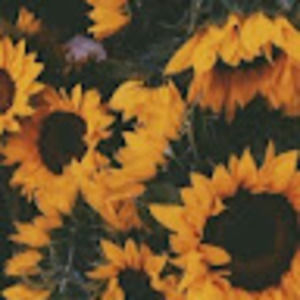 Meet your Posher, Luisa